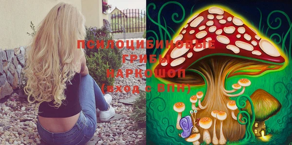 круглые Няндома