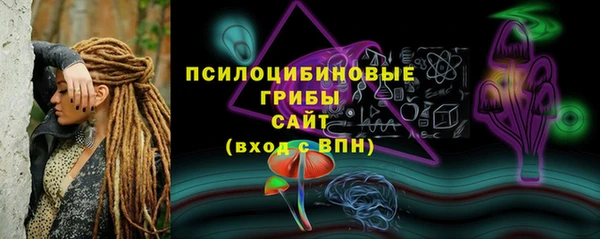 мдпв Нязепетровск