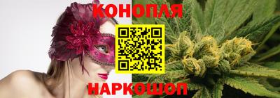 стафф Берёзовский