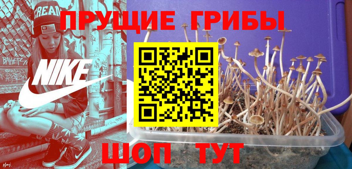 Великий Новгород  Галлюциногенные грибы мицелий  Вход с VPN 