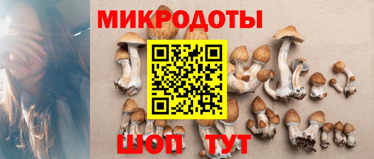 Галлюциногенные грибы MAGIC MUSHROOMS Великий Новгород