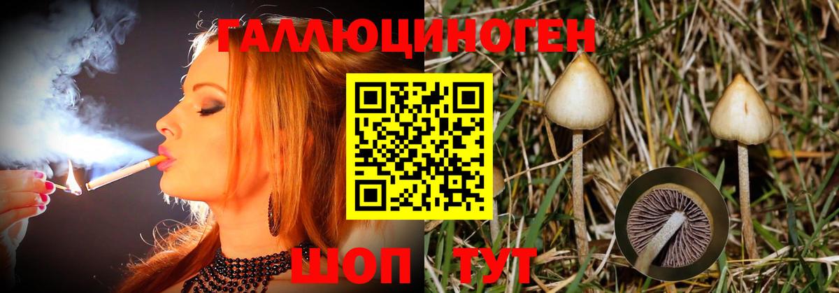 Псилоцибиновые грибы Magic Shrooms Великий Новгород
